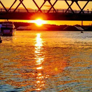 Meet your Posher, Sandy